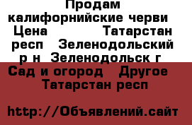 Продам калифорнийские черви › Цена ­ 4 000 - Татарстан респ., Зеленодольский р-н, Зеленодольск г. Сад и огород » Другое   . Татарстан респ.